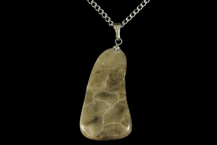 Polished Petoskey Stone (Fossil Coral) Necklace - Michigan #156170